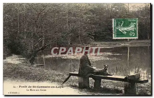 St Germain en Laye - Foret - La Mare aux Canes - chien - dog - Cartes postales