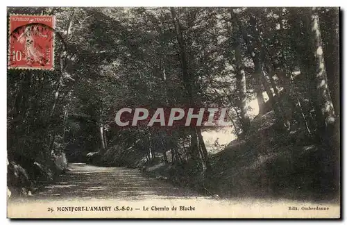 Montfort L&#39Amaury - Le Chemin de Bluche - Cartes postales