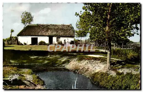 Au Pays de Monts - Bourine Vendeenne- Cartes postales