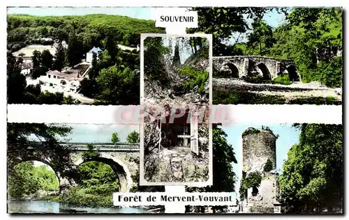 Cartes postales moderne Souvenir de Foret de Mervent Vouvant