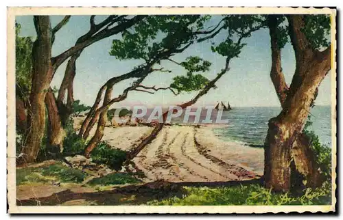 Cartes postales Ile de Noirmoutier Bois de la Chaize