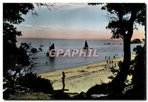 Cartes postales moderne Noirmoutier Paysage