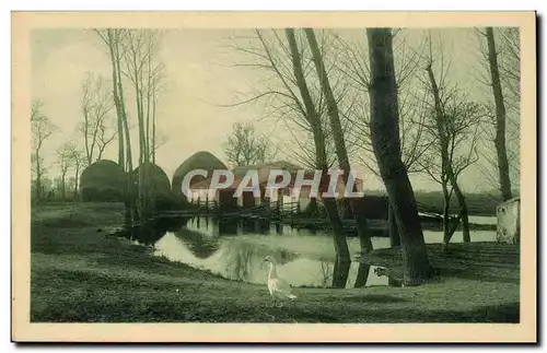 Cartes postales Vendee maraichine Paysage d'hiver