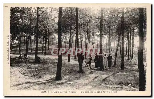 Cartes postales Sion pres Croix de Vie Un coin de la belle foret de pins