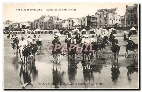 Cartes postales Les Sables d&#39olonne Promenade a anes sur la plage Donkey