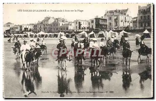 Cartes postales Les Sables d'olonne Promenade a anes sur la plage Donkey