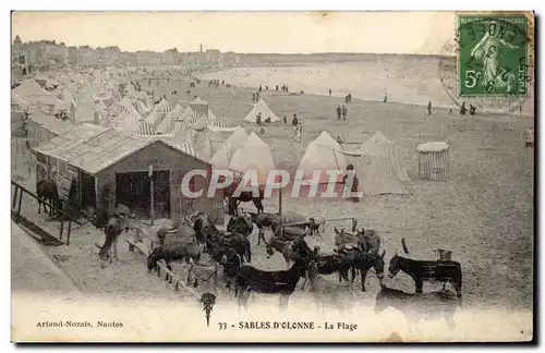 Ansichtskarte AK Les Sables D&#39olonne La plage Ane Donkey Mule