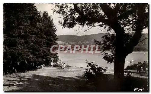 Cartes postales moderne Saint Ferreol Le bassin et ses pins