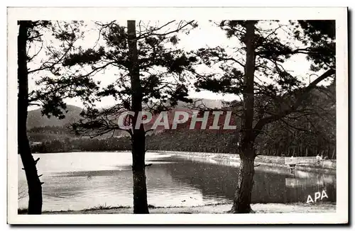 Cartes postales moderne Saint Ferreol Le bassin vu a travers les pins