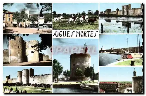 Cartes postales moderne Aigues Mortes Place St Louis Gardians et taureaux