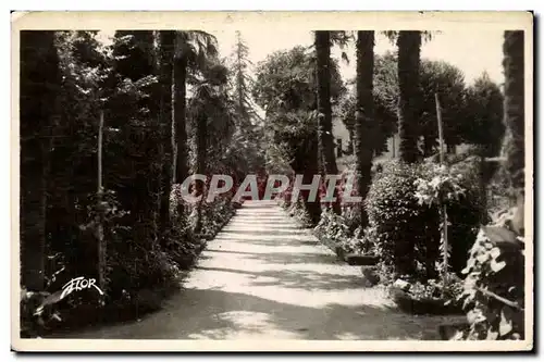 Cartes postales moderne Bergerac Allee des palmiers au jardin public