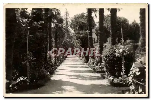 Moderne Karte Bergerac Allee des palmiers au jardin public