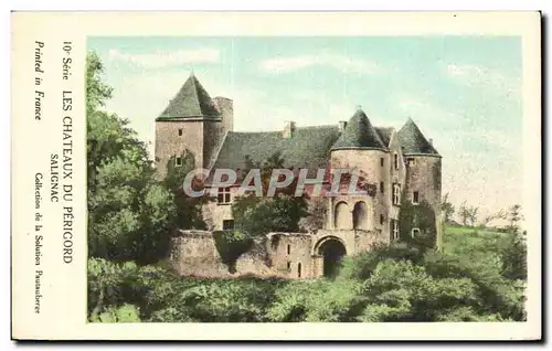 Cartes postales Dordogne Les chateaux du Perigord Salignac