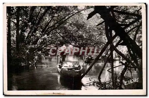 Cartes postales moderne Au pays landais Sous les ombrages du courant d&#39Huchet a leon