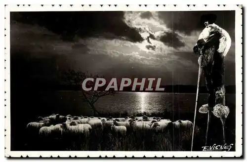 Cartes postales Pays landais Un soir au bord du lac Folklore Berger Moutons