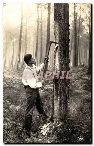 Moderne Karte Les Landes Gemmeur