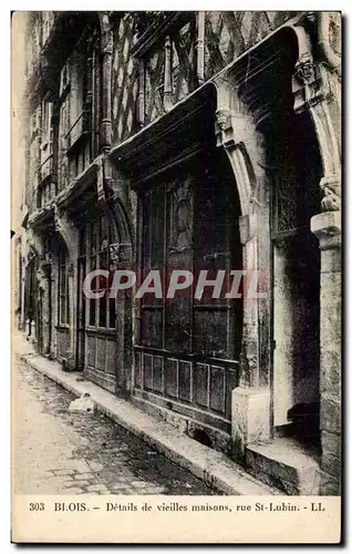 Cartes postales Blois Details de vieilles maisons rue St lubin