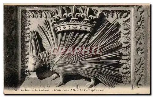 Cartes postales Blois Le chateau L&#39aile Louis XII le porc epic