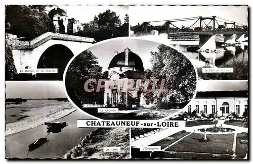 Cartes postales moderne Chateauneuf sur Loire