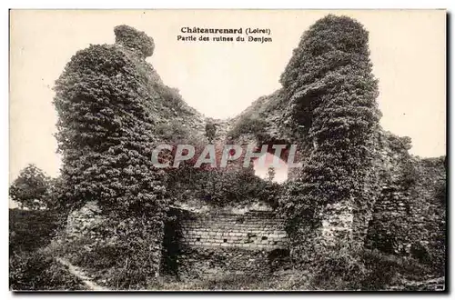 Cartes postales Chateaurenard Partie des ruines du donjon