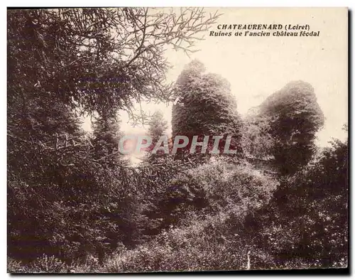 Ansichtskarte AK Chateaurenard Ruines du chateau feodal