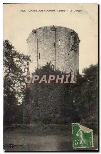 Cartes postales Chatillon Coligny Le donjon