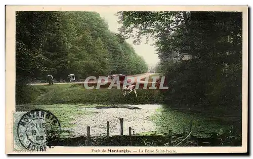 Cartes postales Foret de Montargis La fosse Saint Pierre Vaches