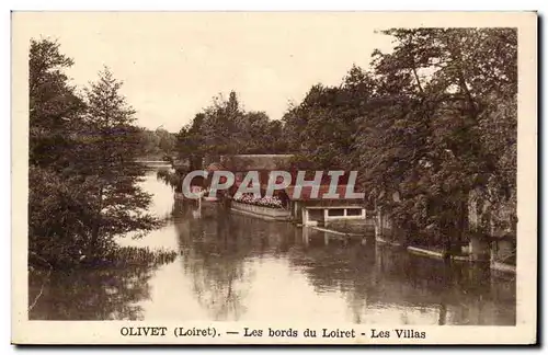 Cartes postales Olivet Les bords du Loiret Les villas