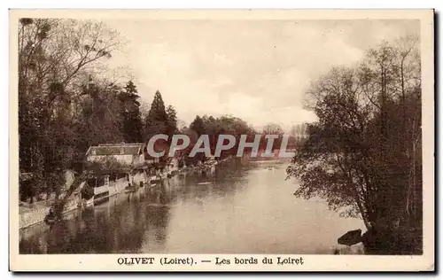 Cartes postales Olivet Les bords du Loiret