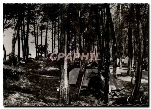 Cartes postales moderne Andernos les Bains Le Mauret Sous bois et camping