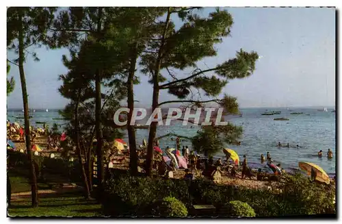 Cartes postales moderne Andernos les Bains Le bassin a travers les pins