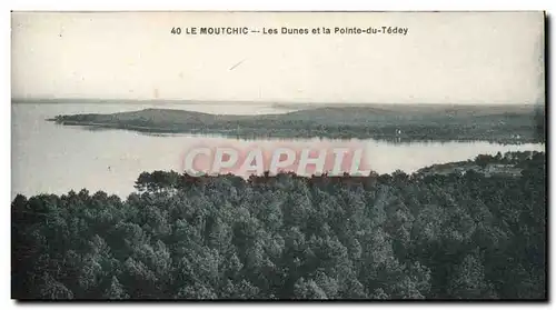 Cartes postales Le Moutchic Les dunes et la pointe du Tedey