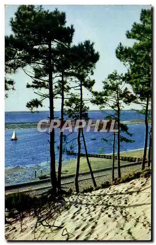 Cartes postales moderne Le Moulleau Les dunes Les pins La mer