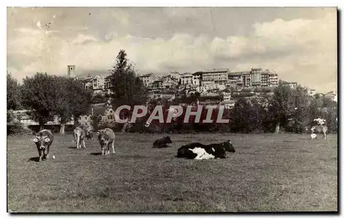 Cartes postales Espagne Spain Espana Puigcerdia Detalle de la Campania