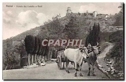 Italia - Italie - Italy - Assisi - Veduta del Castello a Nord - vache - cow - Cartes postales