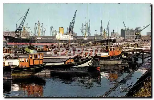 Pays Bas - Holland - Nederland - Rotterdam - Cartes postales