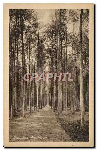 Cartes postales Pays Bas Ginneken Mastbosch