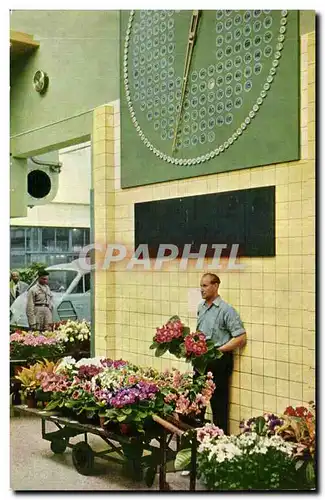 Cartes postales Pays Bas Centrale Aalsmeerche Veiling Aalsmeer