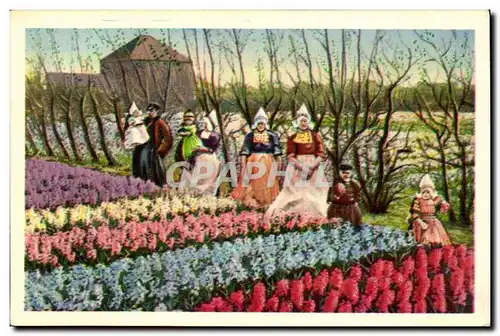 Ansichtskarte AK Pays Bas Tulipes Fleurs dans les champs Folklore