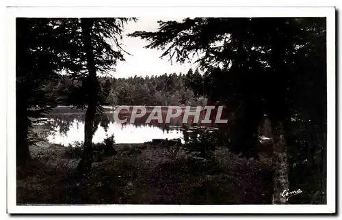 Cartes postales moderne Sembadel Gare Paysage dans la foret du bois noir a la prise d'eau