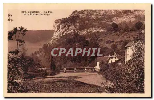 Cartes postales Goumois Le pont et le rocher du singe