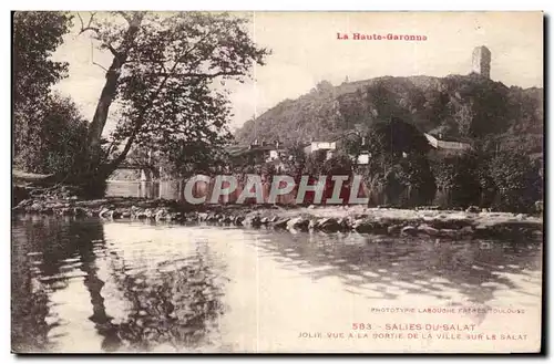 Cartes postales Salies du Salat Jolie vue a la sortie de la ville sur le Salat