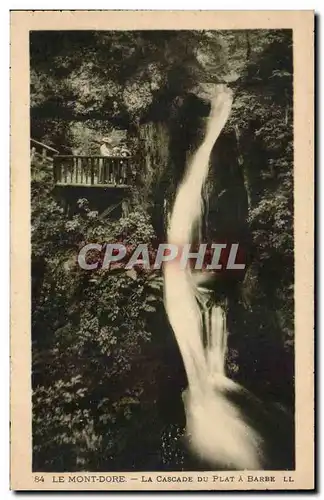 Cartes postales Le Mont Dore La cascade du plat a barbe