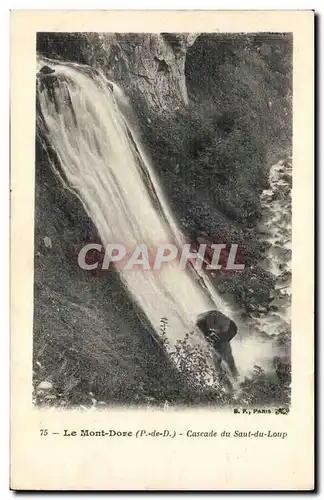 Ansichtskarte AK Le Mont Dore Cascade du Saut du Loup