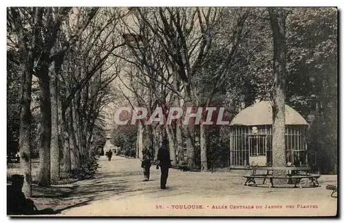 Toulouse - Allee Centrale au Jardin des Plantes - Ansichtskarte AK