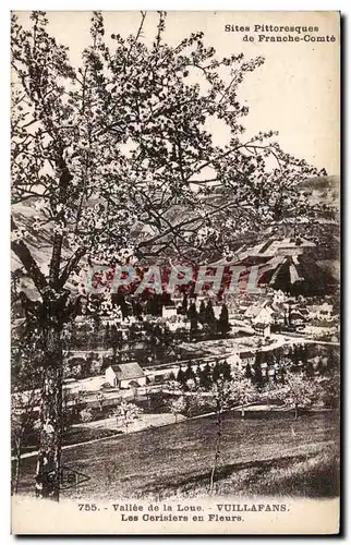 Vallee de la Loue - Vuillafans - Les Cerisiers en Fleur - Cartes postales