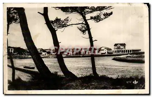 Capbreton sur Mer - a travers les Pins - Cartes postales