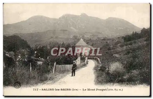 Cartes postales Salins les Bains Le Mont Poupet