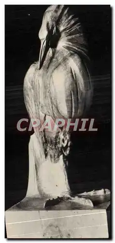 Cartes postales Fantaisie Salon 1931 Heron butor