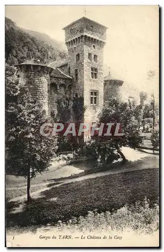 Cartes postales Gorges du Tarn Chateau de la Caze